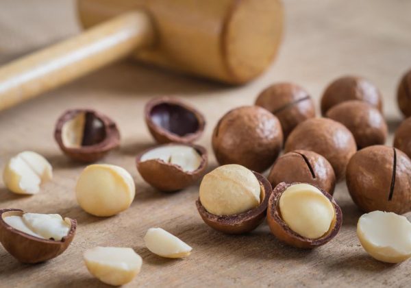 lợi ích sức khỏe hạt macadamia