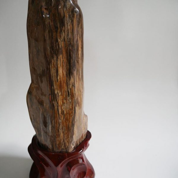 Gỗ hóa thạch tự nhiên
