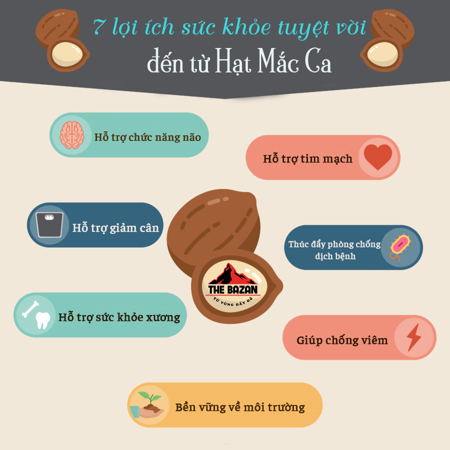 Lợi ích sức khỏe hạt Macadamia